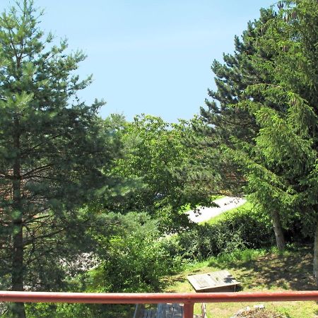 Holiday Home Jitka By Interhome Jablonné nad Orlicí Εξωτερικό φωτογραφία